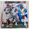 Image 1 : Greg Camarillo Autographed Matted