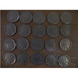 20-Buffalo Nickels