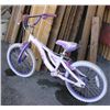 Image 2 : Pink Schwinn Little Girls Bike