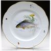 Image 1 : MEISSEN FISH PLATE.