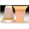 Image 1 : PAIR OF QUEZAL SHADES.