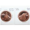 Image 1 : Lot Of 2 Copper Rounds