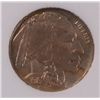 Image 2 : 1919  BUFFALO NICKEL, NNC MS-64  PRETTY COIN