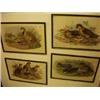 Image 1 : Set of four old coloured bird prints £30-50...