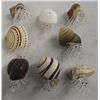 Image 1 : Natural Shell & Blown Glass Hermit Crabs