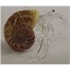 Image 3 : Natural Shell & Blown Glass Hermit Crabs
