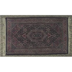 Hand Knotted Pakistan Rug