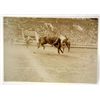 Image 1 : 1926 RPPC REAL PHOTO POSTCARD OF CHICK HANNON RIDING 2 STEP TEX