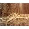 Image 2 : HISTORIC MOUNTED PHOTO OF A SAWMILL UNDER CONSTRUCTION IN COLUMBIA CITY OREGON