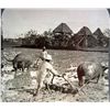 Image 2 : EARLY PHOTO STEREOVIEW CARD OF FLOODED RICE FIELDS NEAR MANILA
