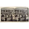 Image 2 : LOT OF 5 VINTAGE SEARS & ROEBUCK STEREOVIEW CARDS