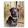 Image 1 : 7686 - DUCKS UNLIMITED METAL SIGN
