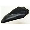 Image 1 : LARGE FOSSILIZED SHARKS TOOTH