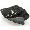 Image 1 : HUGE FOSSILIZED MEGALADON SHARKS TOOTH