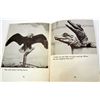 Image 2 : 1950 "CAMPUS ZOO" SOFTCOVER BOOK
