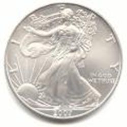 Uncirculated Silver Eagle 2007