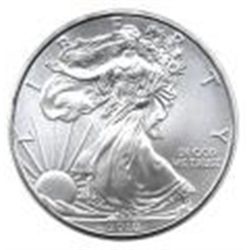 Uncirculated Silver Eagle 2010