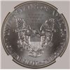 Image 3 : 2013 W SILVER AMERICAN EAGLE NGC MS69
