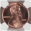 Image 3 : 2009 CHILDHOOD LINCOLN CENT NGC BU FIRST DAY ISSUE