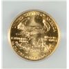 Image 3 : 2002 $5 GOLD AMERICAN EAGLE ICG MS70