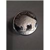 Image 2 : 2013 PURE .999 SILVER BUFFALO INDIAN