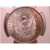 Image 2 : 1901-O Morgan Dollar Ch MS64 NGC
