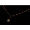 Image 1 : 14k Yellow Gold Pendant and Chain,