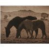 Image 1 : Geoffry Lasko, Etching, "Grazing"