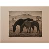 Image 2 : Geoffry Lasko, Etching, "Grazing"