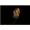 Image 1 : Leaf Pod Form Gold Broach,