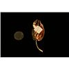 Image 2 : Leaf Pod Form Gold Broach,