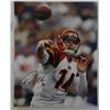 Image 8 : 7 - Football 8x10 AUTOGRAPHED Pictures