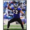 Image 1 : Ray Lewis AUTOGRAPHED Baltimore Ravens 11 x 14 Color Photo