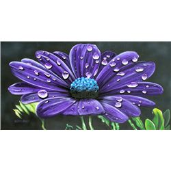 VALTER MORAIS- "DEW DROPS"