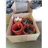 Image 1 : LOT 4 - 1 GALLON JUGS BOLTS, WASHERS, SPRINGS &