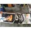 Image 1 : LOT 10 24X36 MOTION MOVIE PICTURE POSTERS: