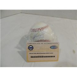 RAWLINGS BASEBALL AUTOGRAPH DAVID ORTIZ COA