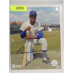 8X10 BASEBALL PHOTO AUTOGRAPH OSCAR GAMBLE COA