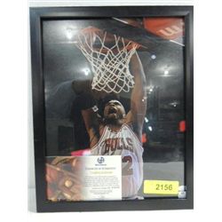 12X16 BASKETBALL PHOTO AUTOGRAPH TAJ GIBSON COA