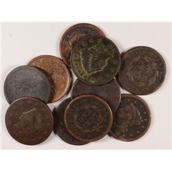 10 DIFFERENT LARGE CENTS SOME DAMAGE