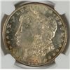 Image 2 : 1904-O MORGAN DOLLAR NGC MS63