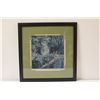 Image 1 : JANET E. MARSHALL, 13" X 14" LIMITED EDITION, HAND SIGNED, FRAMED PRINT "THE BIRDS OF NEW ZEALAND"