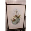 Image 3 : JOHN GOULD (BRITISH 1804-1881) & HENRY CONSTANTINE RICHTER (BRITISH 1821-1902) PAIR OF HUMMING BIRD