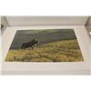 Image 2 : UNFRAMED ROBERT BATEMAN PRINT "RHINO AT NGORO NGORO"  581/950 AND SIGNED