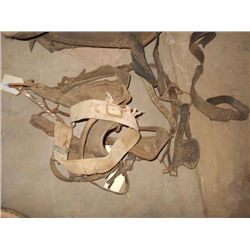LOT: SADDLE ACCESSORIES
