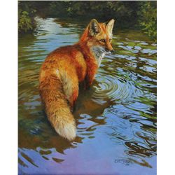Bonnie Marris-Red Fox on Scott Pond