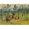 Image 1 : Robert Lougheed-Alaska Moose