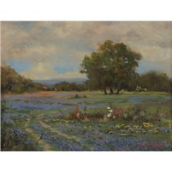 Robert Wood-Bluebonnets