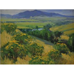 Loren Entz-Mountain Valley Landscape