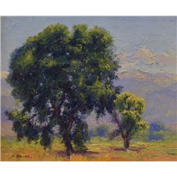 Henry C. Balink-Cottonwoods and the Sangre de Cristos